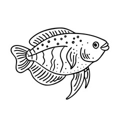 pearl gourami fish icon, pearl gourami fish vector illustration-simple illustration of pearl gourami fish, perfect for pearl gourami fish logos and icons