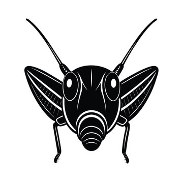 black grasshopper insect front view clip art preview
