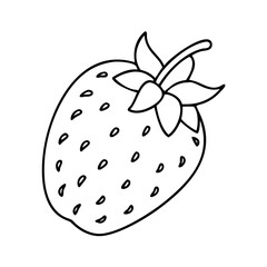 pineberry icon, pineberry vector illustration-simple illustration of pineberry, perfect for pineberry logos and icons
