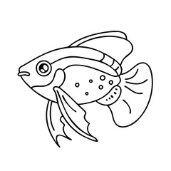 platy fish icon, platy fish vector illustration-simple illustration of platy fish, perfect for platy fish logos and icons