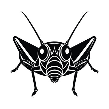 black and white grasshopper insect clip art preview