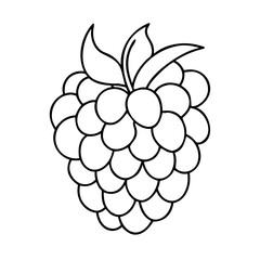raspberry icon, raspberry vector illustration-simple illustration of raspberry, perfect for raspberry logos and icons