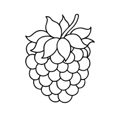 raspberry icon, raspberry vector illustration-simple illustration of raspberry, perfect for raspberry logos and icons