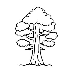 sequoia tree icon, sequoia tree vector illustration-simple illustration of sequoia tree, perfect for sequoia tree logos and icons