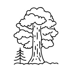 sequoia tree icon, sequoia tree vector illustration-simple illustration of sequoia tree, perfect for sequoia tree logos and icons