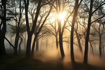 Branches of trees, backlit with sunlight shining through, mist is glowing softly, sunset in the forest, forest background