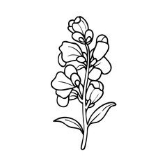 snapdragon flower icon, snapdragon flower vector illustration-simple illustration of snapdragon flower, perfect for snapdragon flower logos and icons