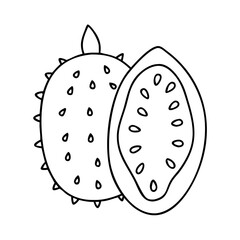 soursop fruit icon, soursop fruit vector illustration-simple illustration of soursop fruit, perfect for soursop fruit logos and icons