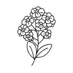 swee alyssumt flower icon, swee alyssumt flower vector illustration-simple illustration of swee alyssumt flower, perfect for swee alyssumt flower logos and icons