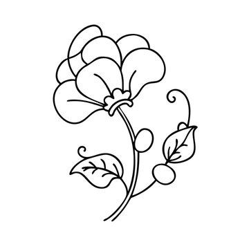 recommend clip art: sweet pea flower icon, sweet pea flower vector illustration-simple illustration of sweet pea flower, perfect for sweet pea flower logos and icons