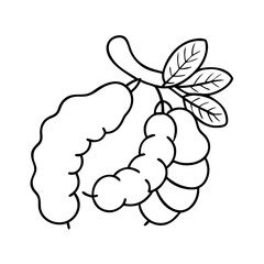tamarind fruit icon, tamarind fruit vector illustration-simple illustration of tamarind fruit, perfect for tamarind fruit logos and icons