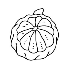 ugli fruit icon, ugli fruit vector illustration-simple illustration of ugli fruit, perfect for ugli fruit logos and icons