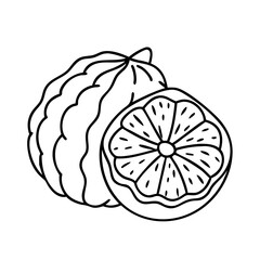 ugli fruit icon, ugli fruit vector illustration-simple illustration of ugli fruit, perfect for ugli fruit logos and icons
