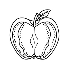 velvet apple icon, velvet apple vector illustration-simple illustration of velvet apple, perfect for velvet apple logos and icons