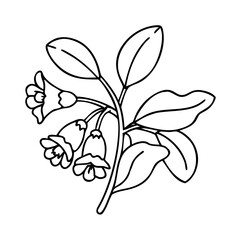virginia bluebells flower icon, virginia bluebells flower vector illustration-simple illustration of virginia bluebells flower, perfect for virginia bluebells flower logos and icons