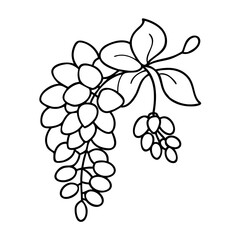 wisteria flower icon, wisteria flower vector illustration-simple illustration of wisteria flower, perfect for wisteria flower logos and icons