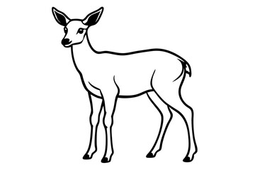 Minimalist and elegant line art animal vector illustration featuring clean, smooth outlines and modern design. Perfect for branding, tattoos, packaging, posters, kids’ designs, and digital projects. T