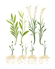 Obraz premium rice-related illustrations and smart farming technologies, focusing on grains, plants, cultivation, and innovative agricultural solutions for commercial use.