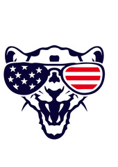 lionne tete lunette de soleil couleur drapeau americain