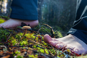 Human feet of an adult male walking barefoot in a forest as a form of grounding and connection to...