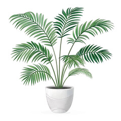 Obraz premium Potted Palm Plant on Transparent Background