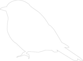 A drawing of a bird with a line on it