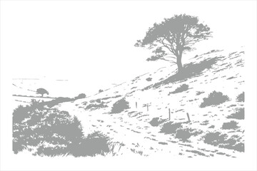 White Grungy Hill Texture Background.