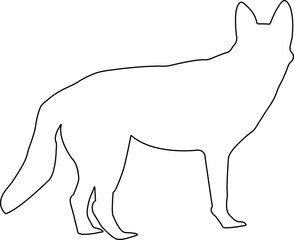 Wild Dog silhouette