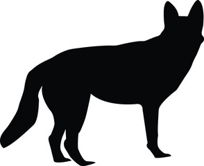 wolf silhouette vector