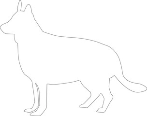 Siberian husky dog vector illustration