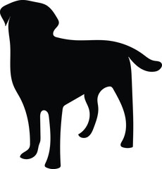 black silhouette of a dog