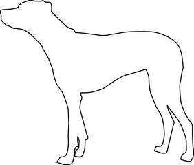 Hand drawn dog outline illustration