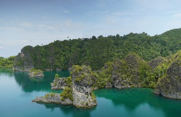 Scenic viewpoint tropical limestone islands and karst formations In Raja Ampat 