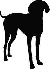 Black silhouette of a dog standing