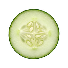 Fresh cucumber slice detailed cross-section showing seeds and texture isolated on transparent background for healthy food concepts