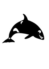 orque animaux rigolo face cartoon 
