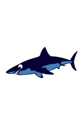 requin animaux rigolo face cartoon