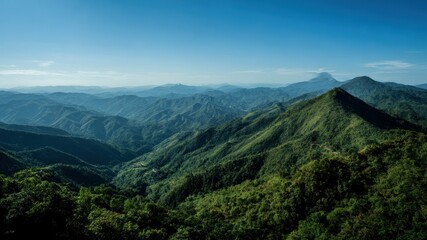 Fototapeta premium Expansive mountain range with lush green forests under a clear blue sky.