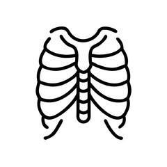 ribs