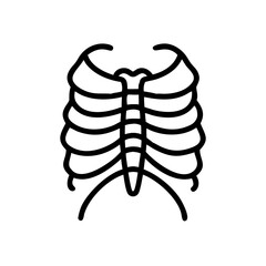 ribs