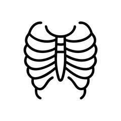 ribs