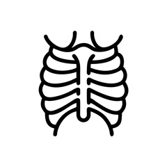 ribs