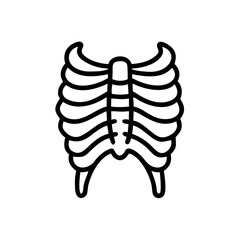 ribs
