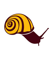 escargot dessin