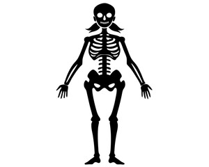 Women Skeleton Silhouette Vector Design, Female Skeleton SVG, Skeleton Icon