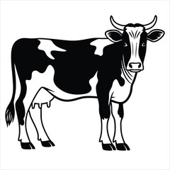 black and white cow