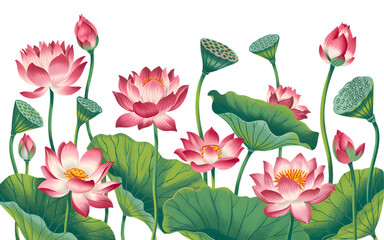 Lotus Blooms: A vibrant display of lotus flowers in full bloom. With delicate pink petals, lush green pads, and intricate detail. Illustrates serenity.