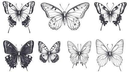 Continuous line drawing of butterfly elements set