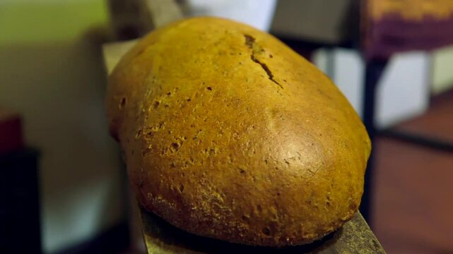 Freshly Baked Loaf of Bread is Removed from the Oven. Bread is a Staple Food Prepared from a Dough of Flour, Usually Wheat, and Water, Usually by Baking.