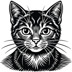 black and white cat vector